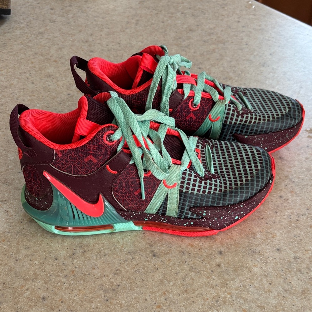 Nike LeBron James basketball sneakers